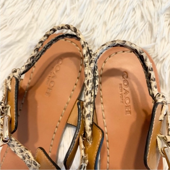 Coach Tan and Brown Snakeskin T-Strap Sandals with Gold Hardware - Picture 6 of 8